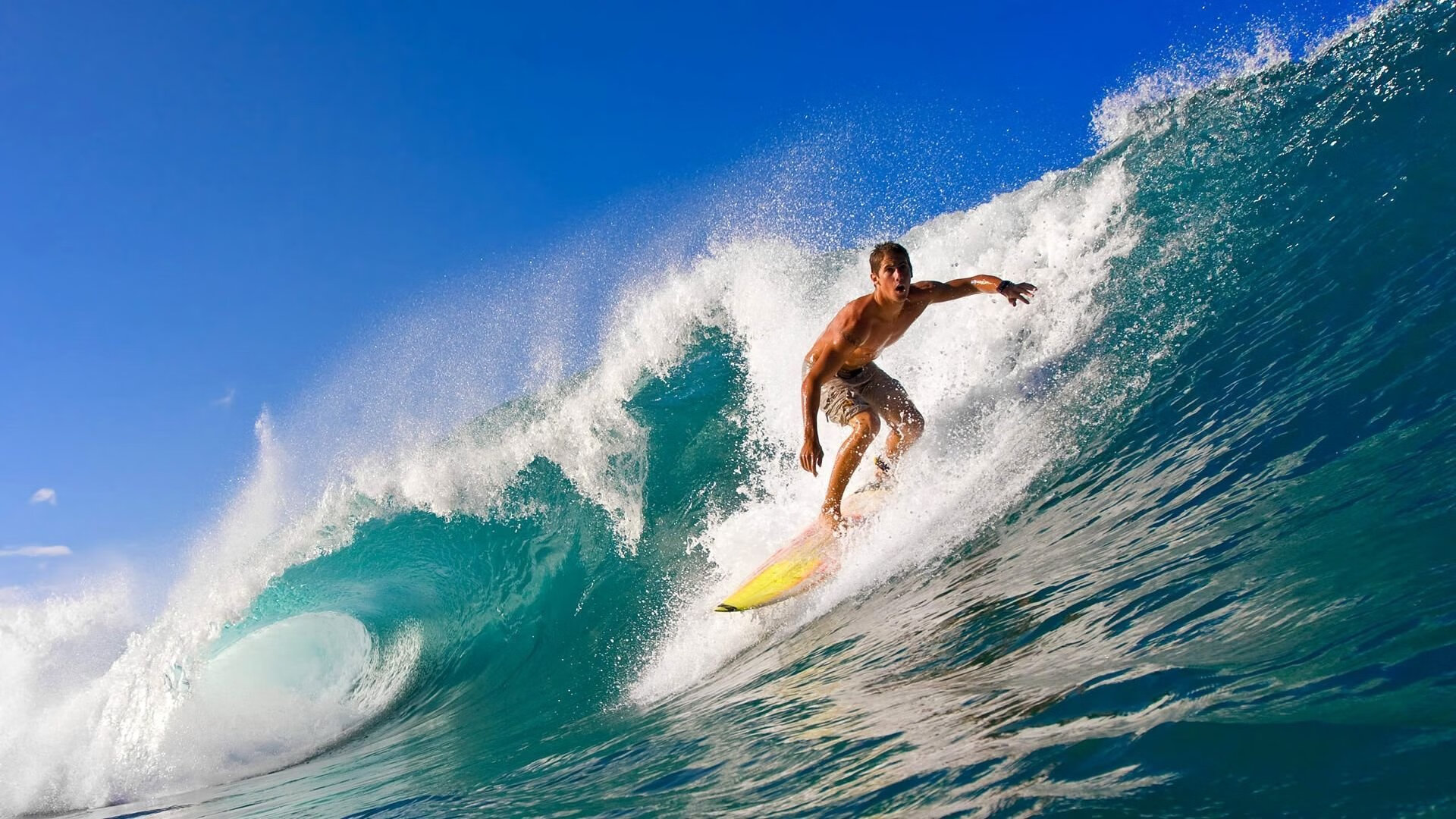 “南非羚羊队聚焦萨尔·巴赫：世界杯备战的核心”